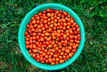 Similar image 17817992