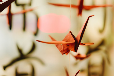 Similar image 17817995