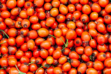 Similar image 17818003