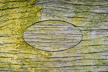 Similar image 17818053