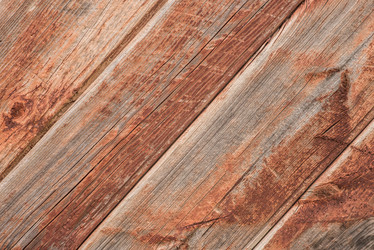 Similar image 17818066