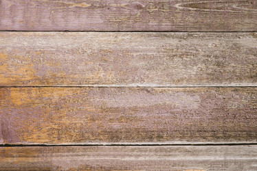 Similar image 17818119