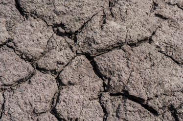 Similar image 17818236