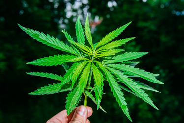 Similar image 17818077