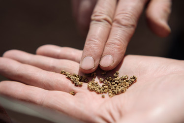 Similar image 17818175