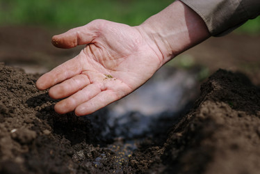 Similar image 17818196