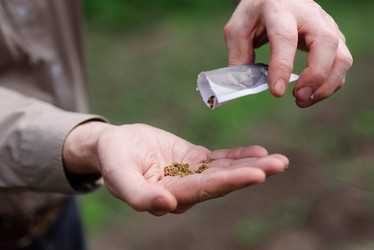 Similar image 17818237