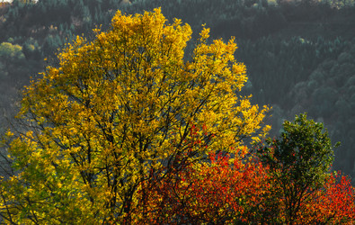 Similar image 18139710