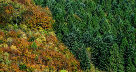 Similar image 18139711