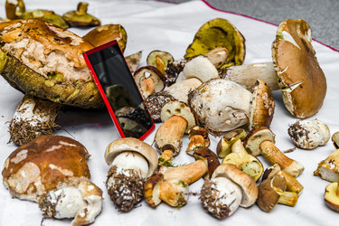 Similar image 18139718