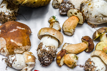 Similar image 18139729