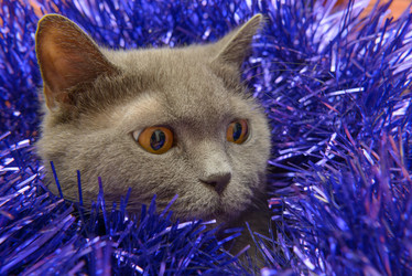 Similar image 18136422