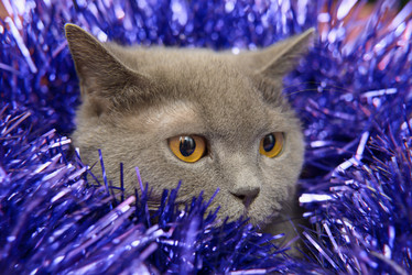 Similar image 18136423