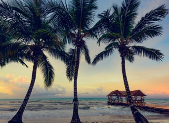 Similar image 18136449