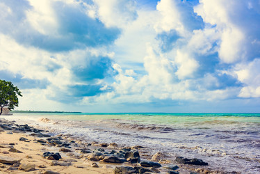 Similar image 18136477