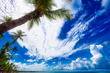 Similar image 18136522