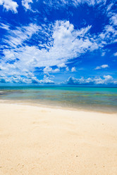 Similar image 18136463