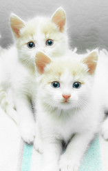 Similar image 18136467