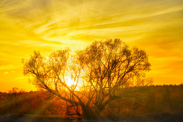 Similar image 18136469