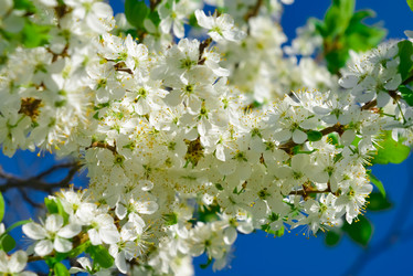 Similar image 18136475