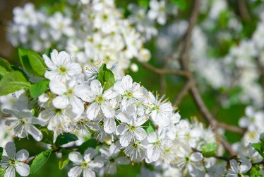 Similar image 18136481