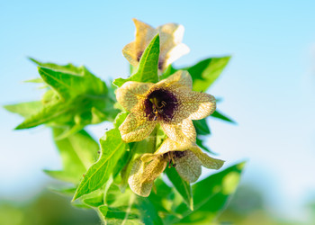 Similar image 18136496