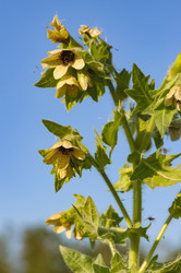 Similar image 18136504