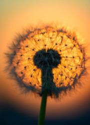 Similar image 18136521