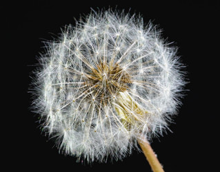 Similar image 18136524