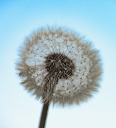 Similar image 18136528