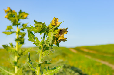 Similar image 18136493