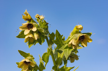 Similar image 18136494