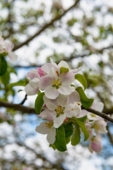 Similar image 18136537