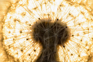 Similar image 18136539