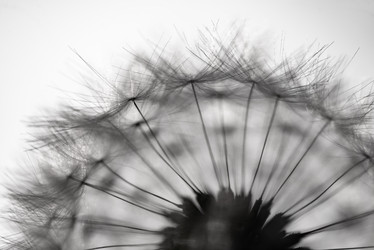 Similar image 18136542