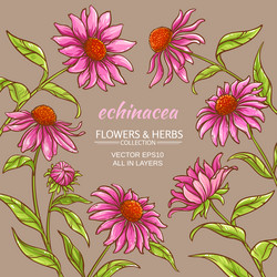 Similar image 18139807