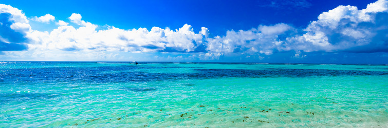 Similar image 18136601