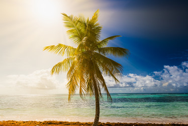 Similar image 18136610