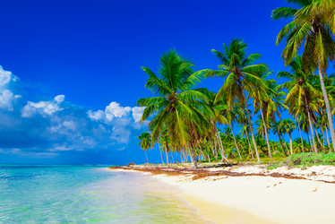 Similar image 18136565