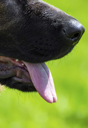 Similar image 18508703