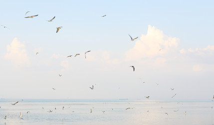 Similar image 18362968