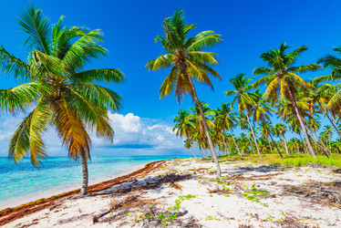 Similar image 18136687