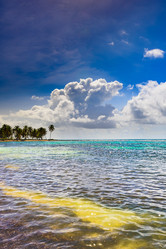 Similar image 18136698