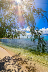 Similar image 18136635