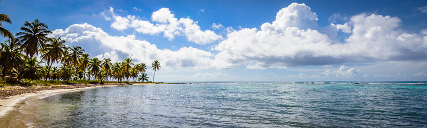 Similar image 18136639