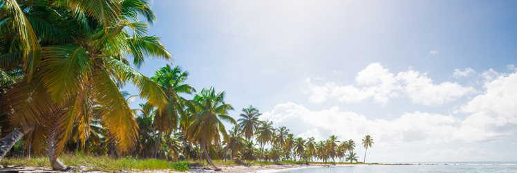 Similar image 18136647