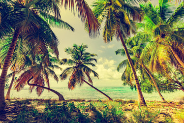 Similar image 18136655