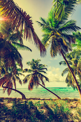 Similar image 18136659