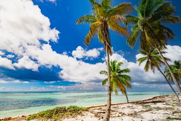 Similar image 18136663