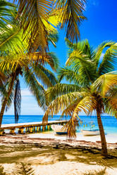 Similar image 18136674